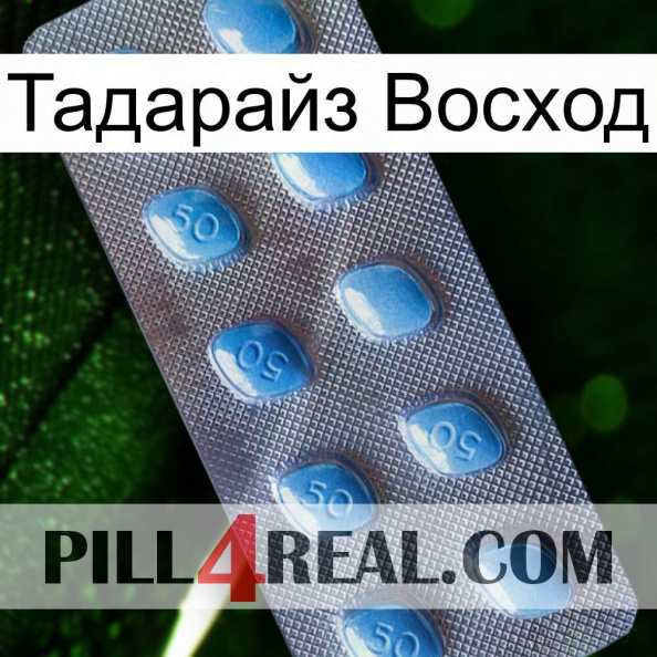 Тадарайз Восход viagra3.jpg